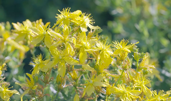 2025澳门原料1688