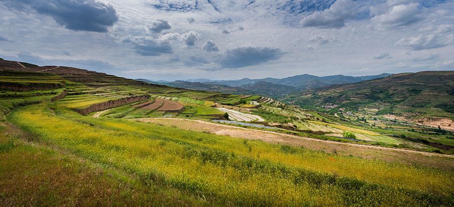 2025澳门原料1688