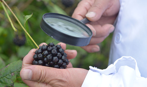 2025澳门原料1688