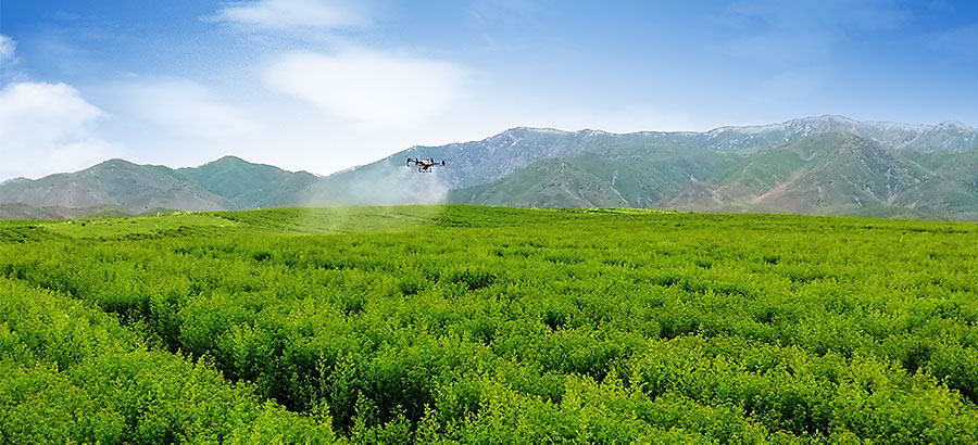 2025澳门原料1688