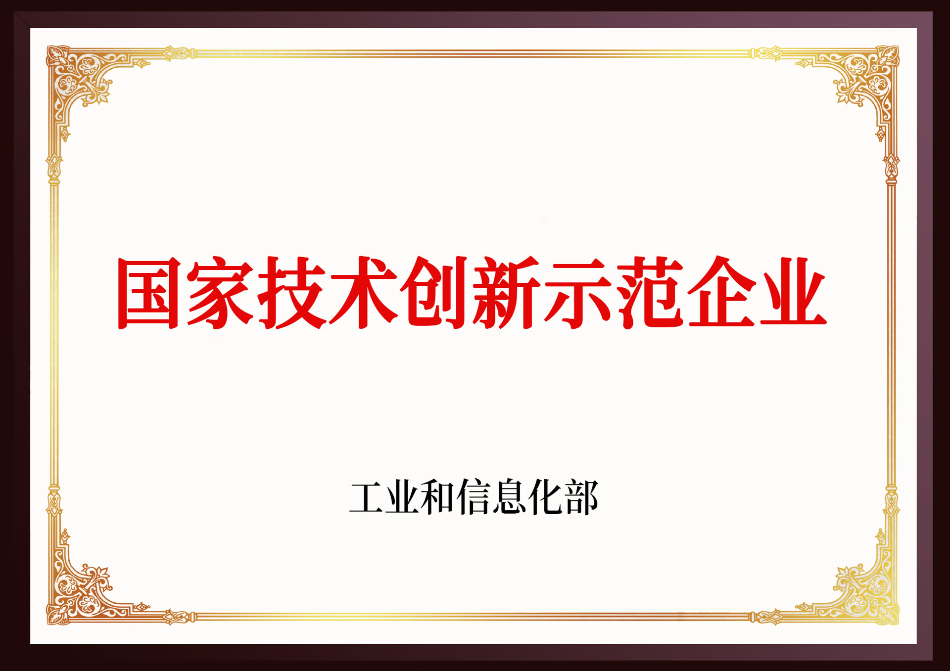 国家技术创新示范企业