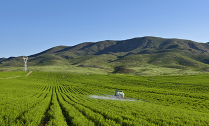 2025澳门原料1688